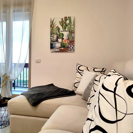 Deluxe Alba ロコロトンド